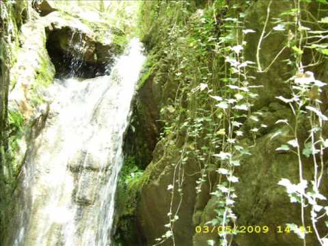 in Cheile Ribiciorii