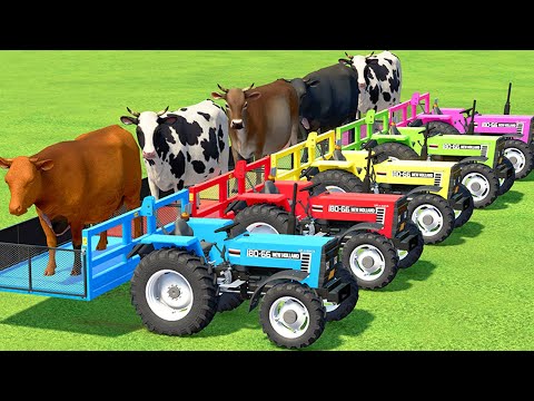 COWS TRANSPORTATION WITH NEW HOLLAND COLORED TRACTORS - ANIMAL TRANSPORTING - Farming Simulator 22