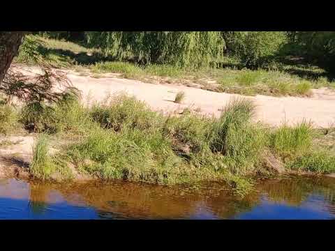 Costanera del Río Panaholma, en Cura Brochero, Traslasierras, Córdoba, Argentina.#curabrochero 