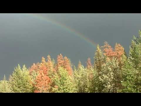 Rainbow in jasper mountains