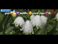 New Whatsapp Sweet Romantic Video Status Rajnigandha Phool Tumhare