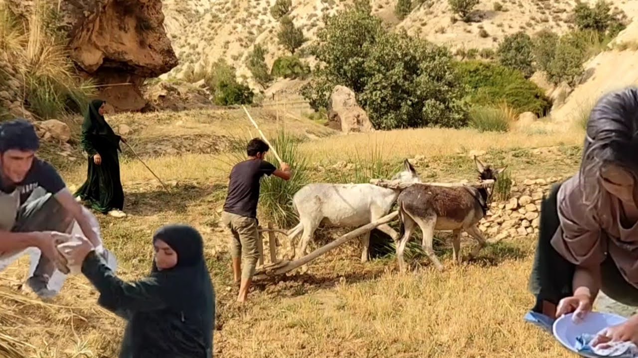 Nomadic Family 👨‍👩‍👧‍👦 Life: Spring Serenity in Nature | Documentary Journey