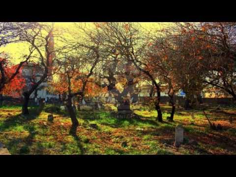 Jakup Asipi - VDEKJA !!! Perpilim interesant [Allahu e Meshiroftë].