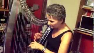 Deborah Henson Conant   Recording for Steve Vai's 'The Story Of Light'