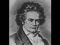 Beethoven's Silence By Ernesto Cortazar 