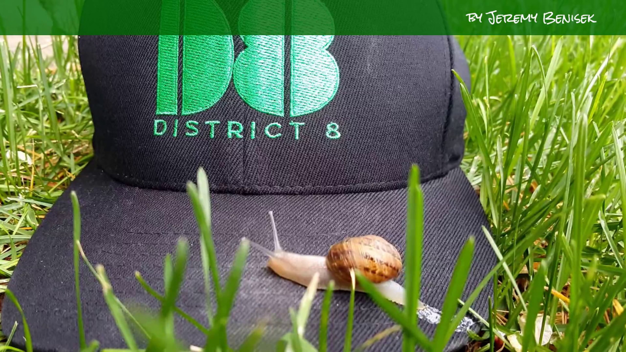Video: A Snail's Life - Just be relaxed