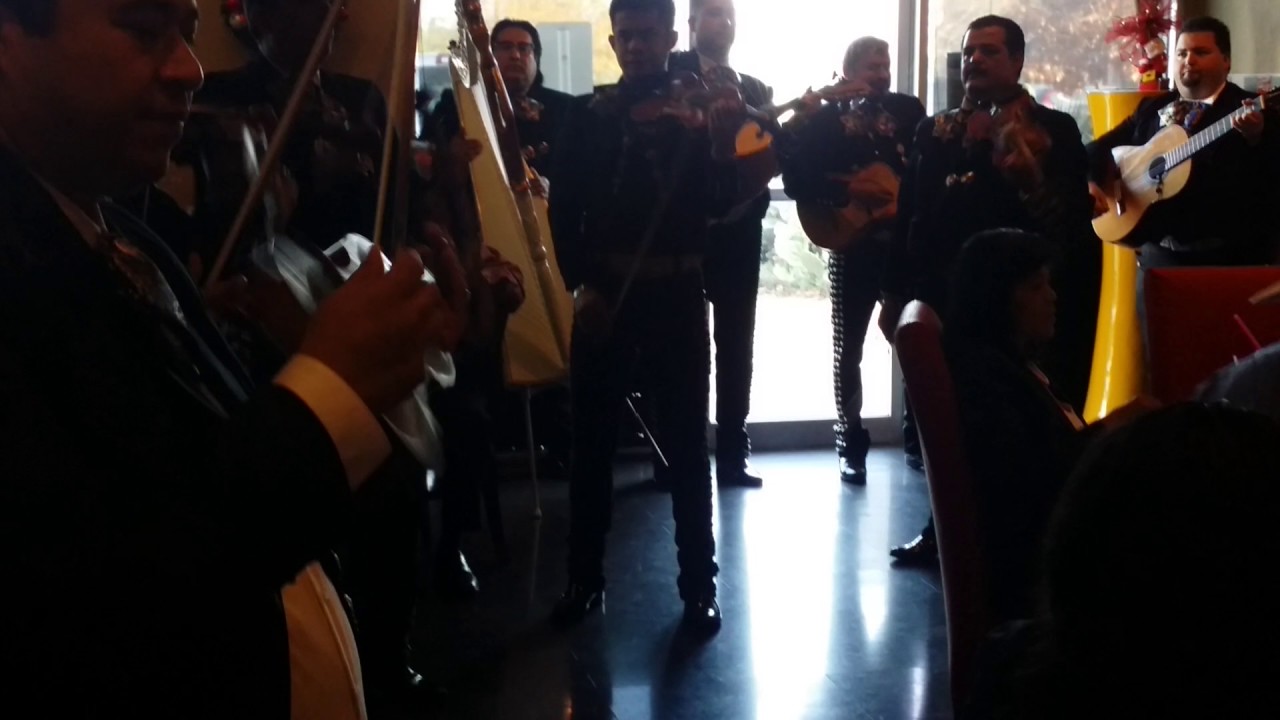 Promotional video thumbnail 9 for Mariachi Melodias De Mexico