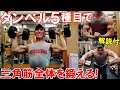 【筋トレ】ダンベルとベンチで三角筋全体を鍛える5種目の肩のトレーニング【解説付】