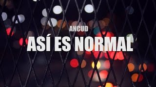 Video Así Es Normal (Letra) de Ancud