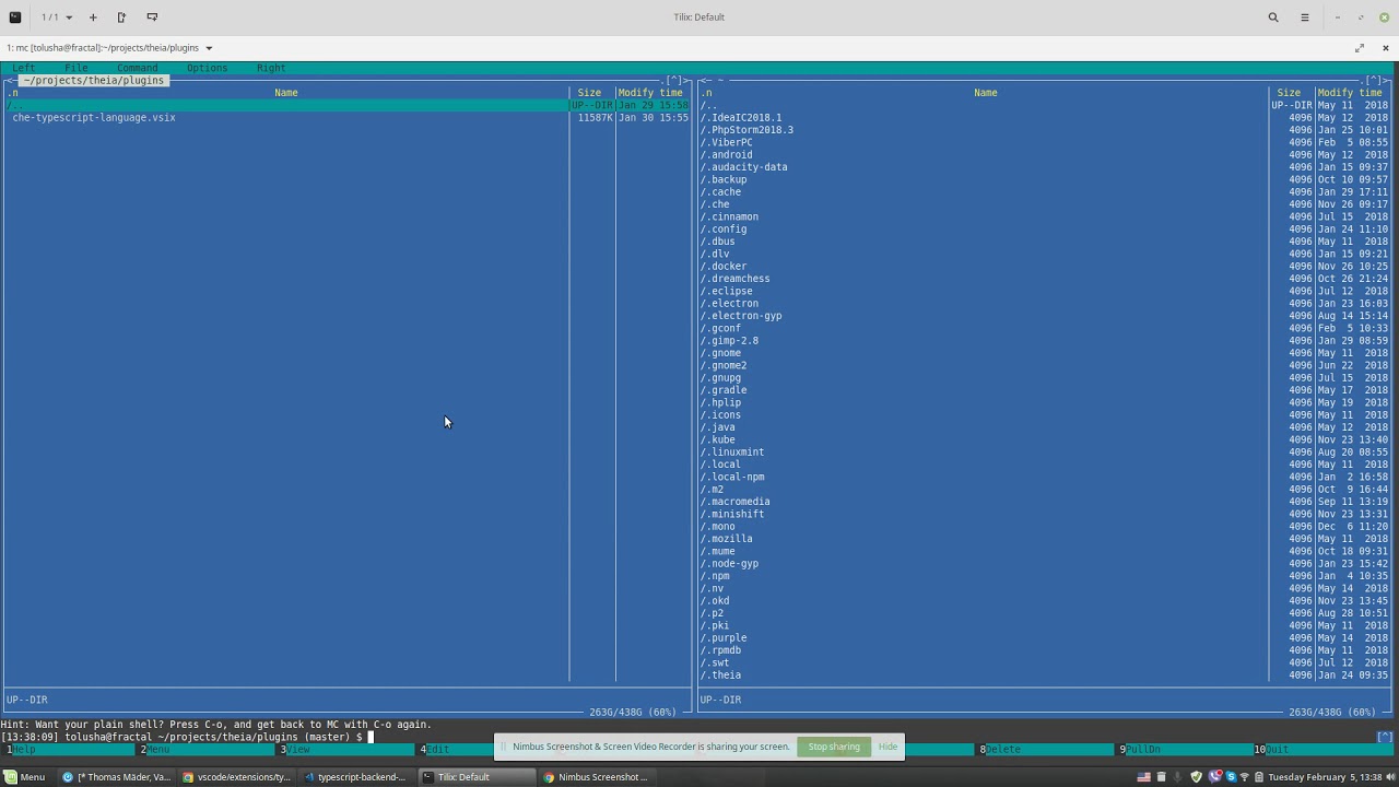 Not published VS  Code extensions as Eclipse Theia plugin