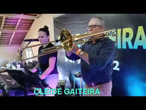 CLEIDE GAITEIRA  BENEDITO NOVO S.CATARINA 