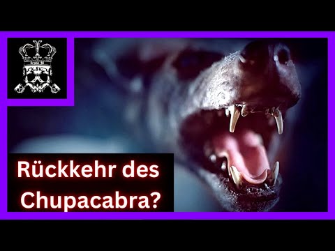 Die Rückkehr des Chupacabra? Seltsame Tierverstümmelungen in Chile