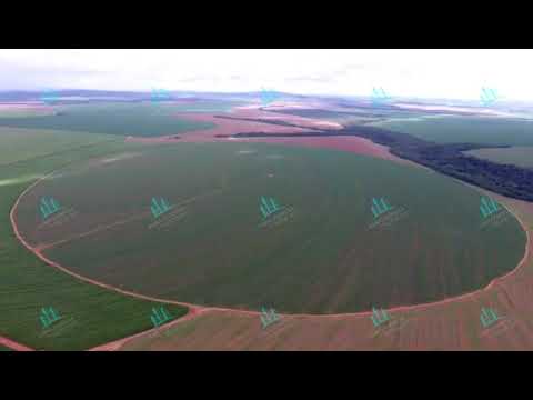 Fazenda de 3.850 ha localizada no munícipio General Carneiro- MT