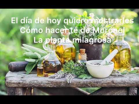 “Moronel” alternativa para enfermedades cancerígenas . REMEDIOS CASEROS fáciles de hacer