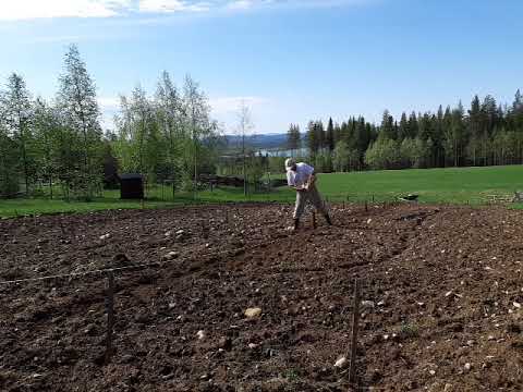 Kap 19 Soffpotatis sätter sin sista potatis - Mariana Mattsson läser ur Att kunna känna doft av...