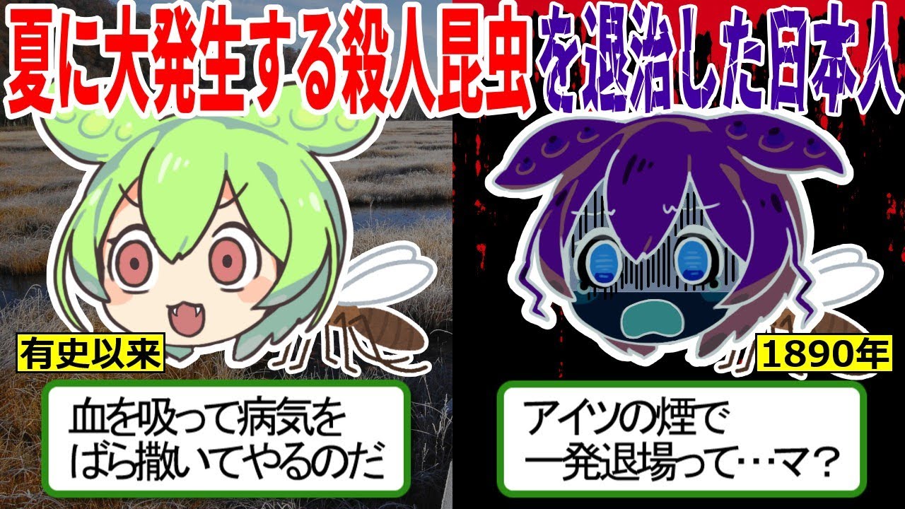 夏に大発生する殺人昆虫を退治した日本人【ずんだもん ゆっくり解説　蚊】