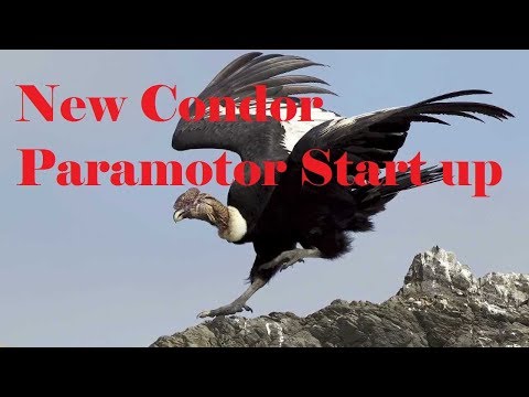 Condor Paramotor with Vittorazi Moster 185 Startup