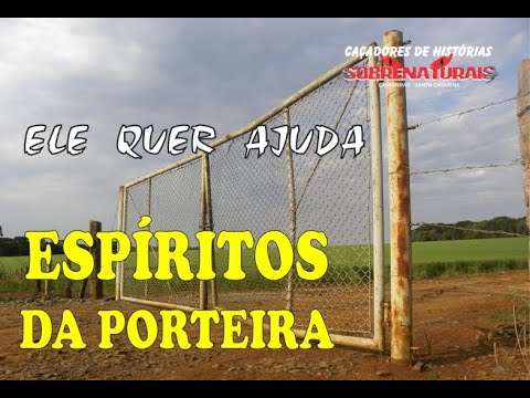 FUI MORTO POR TIRO - DIZ O ESPÍRITO