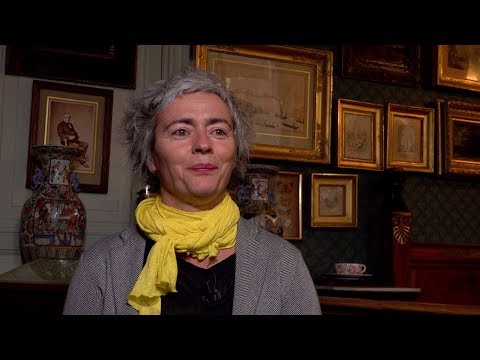 Alexia stresi - Batailles