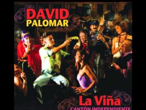 David Palomar - Doña Jerez (Bulería)