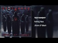 Testament - Falling Fast