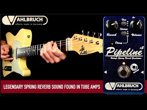 Vahlbruch Pipeline V2 spring reverb emulation,  NEW,  made in Germany, MagTraB switch image 2