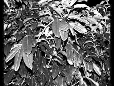 ,,To co nas otacza II'' Michał Madejak-fotografie  [,,MK Studios'']