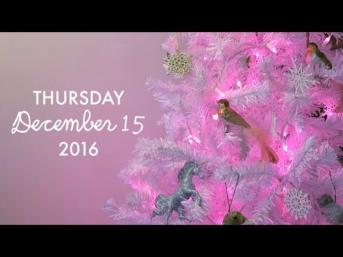 A Very Voolenvine Vlogmas: Day 15 - "Mittens Need to Happen"