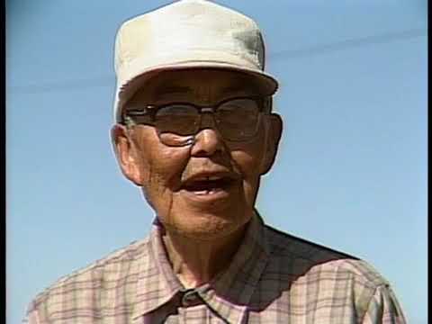 # 80 - Aalika'ar Alexie Mochin