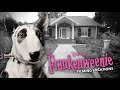 Tim Burton S FRANKENWEENIE Filming Locations 1984 Then And NOW 4K