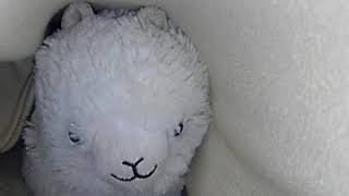 ゆったりしていってね