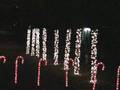 Christmas Lights 2006