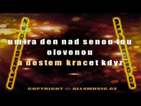 KJ0299 KOTVALD PETR-Francouz (Karaoke verze)