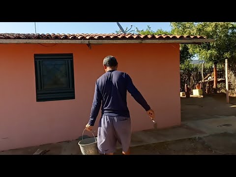 Sítio Mamoeiro Verdejante PE/ vamos aos trabalhos por aqui.