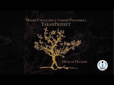 download lagu mp3 mp4 Discografia Mimmo Cavallaro, download lagu Discografia Mimmo Cavallaro gratis, unduh video klip Discografia Mimmo Cavallaro