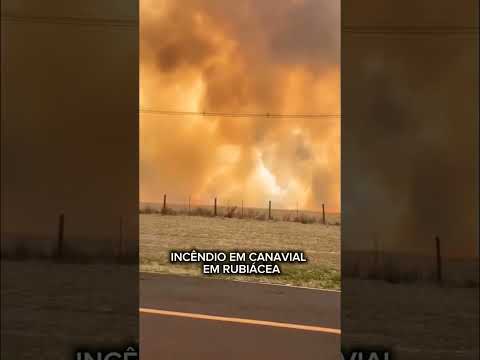INCÊNDIO EM CANAVIAL EM RUBIÁCEA SP #noticias  #alerta #chuvas