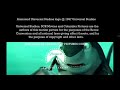 Wideo Co Credits 7