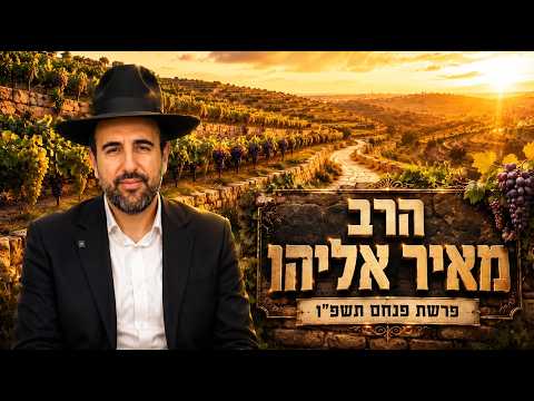 הרב מאיר אליהו | פרשת פנחס תשפ"ו (2026) | עלונימייל
