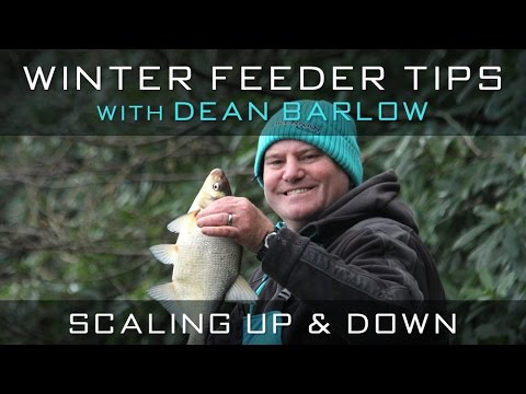 Winter Feeder Tips With Dean Barlow - Scaling Up & Down