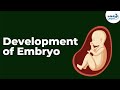 Development of Embryo | Reproduction in Animals | Don't Memorise