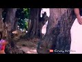 Thamara Poovukum Thannikum Ennaikum Pasumpon Whatsapp Status