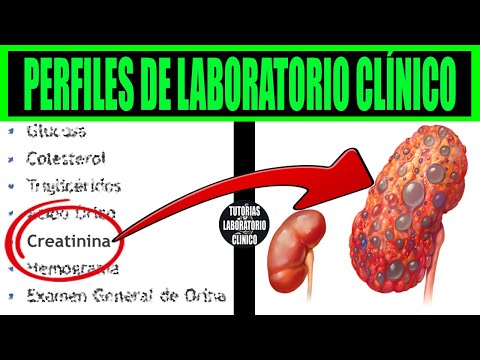 🔬Te Explico TODOS los Perfiles de Laboratorio Clínico ¿Por qué y Para que Sirve Cada Examen?❤️