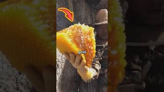 Download lagu Risking Everything For The World’s Most Expensive Honey! mp3