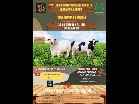 Leilao Sindicado Rural de Lagamar e Amigos  13-11-2025