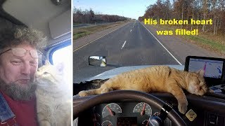Lonely truck driver adopts abandonded stray cat