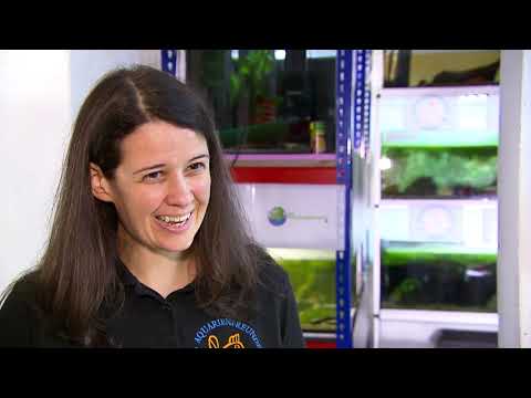 Der ORF zu Gast bei Helga Kury