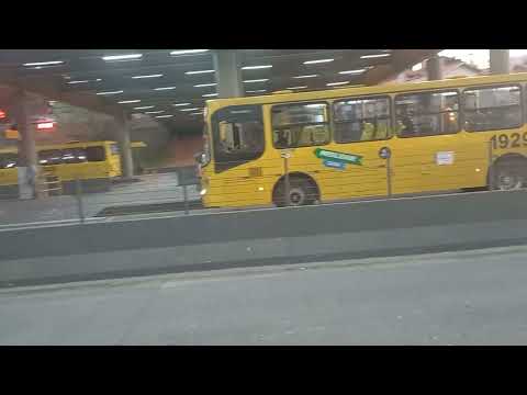 [209] CAIO APACHE VIP IV MIDI ALONGADO (1929)!!!