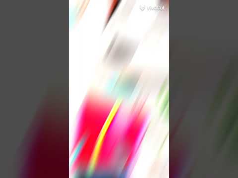 🌸Ryder y Katie💖