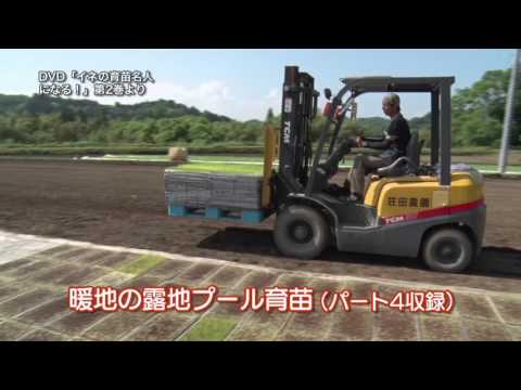 園芸 2 レベルのプールの作成