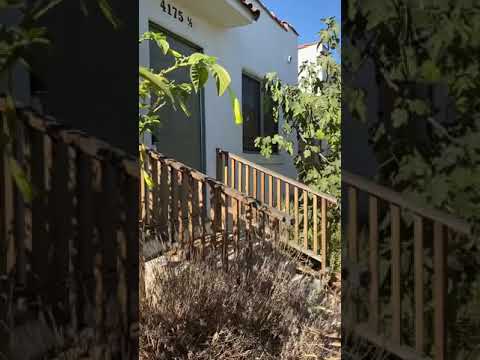 Oakwood - Video 2 of 2